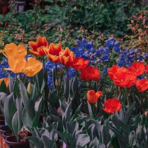 دانلود آهنگ تامر حسنی نهار ابیض